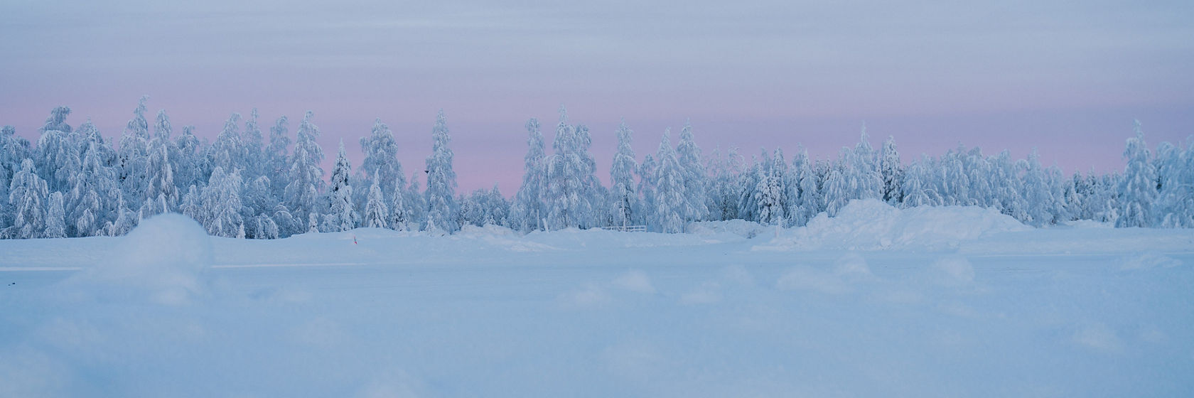 Vaste paysage enneigé avec des arbres enneigés à l’horizon et un ciel rose au crépuscule en hiver