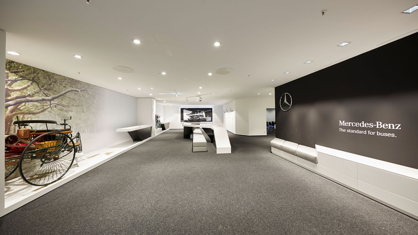 Advice and support at the highest level