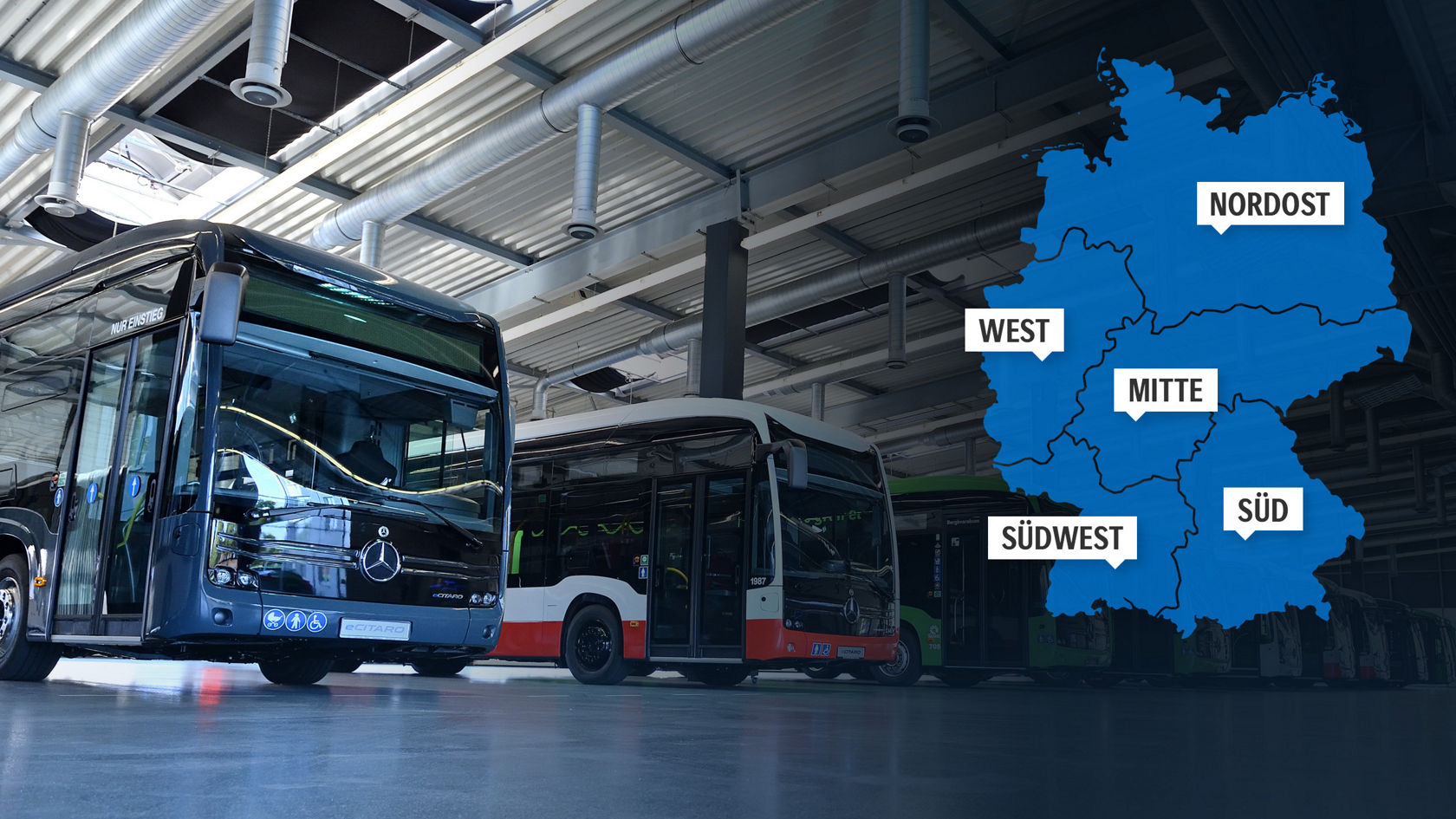 Vertriebsorganisation Omnibusse. Beratung und Verkauf.